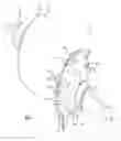 Fig. 02 - Rotor assembly of an electric motor