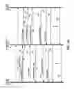 Fig. 06 - Set-up of media stream transmission and server and client for media stream transmission