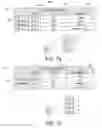 Fig. 08 - SSID broadcast management to support priority of broadcast