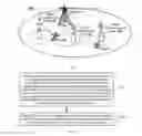 Fig. 02 - Communication method, base station, radio communication node, and user equipment