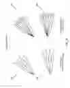 Fig. 15 - Communication of uplink control information