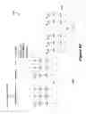 Fig. 22 - Uplink control data transmission