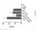 Fig. 07 - Non-human animals having an engineered ANGPTL8 gene