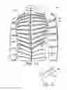 Fig. 02 - Vented garment
