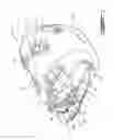 Fig. 02 - HELMET WITH CHIN CUP