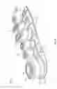 Fig. 35 - Sole and article of footwear having a pod assembly
