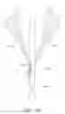 Fig. 33 - Suturing devices and methods for suturing an anatomic valve