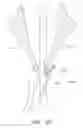 Fig. 38 - Suturing devices and methods for suturing an anatomic valve