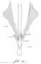 Fig. 46 - Suturing devices and methods for suturing an anatomic valve
