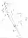 Fig. 03 - SURGICAL HANDPIECE, LIQUID EJECTING APPARATUS, AND ASPIRATION APPARATUS