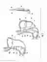 Fig. 08 - Devices and methods facilitating sleeve gastrectomy procedures