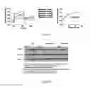 Fig. 06 - COMPOSITION USING GUANIDINE COMPOUND FOR SUPPRESSING TRANSFORMING GROWTH FACTOR (TGF)-beta