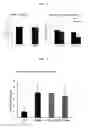 Fig. 02 - PHACOSCLEROSIS INHIBITOR