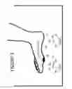 Fig. 02 - NITRIC OXIDE RELEASING BATH COMPOSITIONS AND METHODS OF USING THE SAME