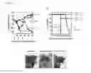 Fig. 09 - MULTILAMELLAR LIPID VESICLE COMPOSITIONS AND METHODS OF USE
