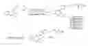 Fig. 01 - Fatty acid conjugates of quetiapine, process for making and using the same