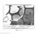 Fig. 06 - Amine-functionalized polymeric compositions for medical devices