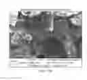 Fig. 07 - Amine-functionalized polymeric compositions for medical devices