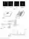 Fig. 04 - Implantable Device with Selective Cell Adhesion and Method of Production