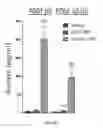 Fig. 22 - SYSTEMS, COMPOSITIONS, AND METHODS FOR TRANSPLANTATION AND TREATING CONDITIONS
