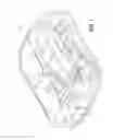 Fig. 02 - Plate with integral fluid path channels