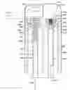 Fig. 01 - APPARATUS AND METHOD FOR INJECTING FLUID INTO A SUBJECT