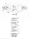 Fig. 02 - Simple control of complex bio-implants