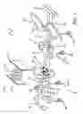 Fig. 02 - Abdominal exercise apparatus