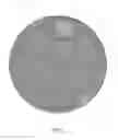 Fig. 02 - Ball