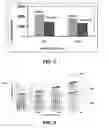 Fig. 04 - Bonded abrasive article and method of forming
