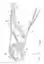 Fig. 07 - Locking Pliers