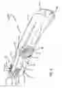 Fig. 08 - Safety cutter apparatus and system