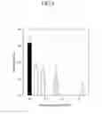 Fig. 05 - OPTICAL FILM AND METHOD OF PREPARING OPTICAL FILM