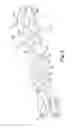 Fig. 03 - Shim-stack foaming die