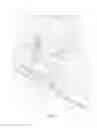 Fig. 10 - Passenger seat