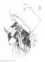 Fig. 03 - Stairlift, for transporting a load along a staircase