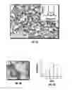 Fig. 04 - One-step method for the synthesis of high silica content zeolites in organic-free media