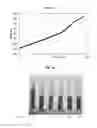 Fig. 06 - IMPROVED PROCESS FOR TREATING AQUEOUS MINERAL SUSPENSIONS