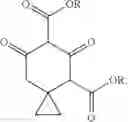 Fig. 28 - Process for the preparation of spiro[2.5]octane-5,7-dione and spiro[3.5]nonane-6,8-dione