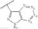 Fig. 35 - Octahydrocyclopentapyrroles, their preparation and use