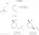 Fig. 07 - Synthesis of chirally enriched 2,4-disubstituted tetrahydropyran-4-ol and its derivatives