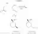 Fig. 11 - Synthesis of chirally enriched 2,4-disubstituted tetrahydropyran-4-ol and its derivatives