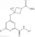 Fig. 218 - SUBSTITUTED 4-ALKOXYPICOLINAMIDE ANALOGS AS MGLUR5 NEGATIVE ALLOSTERIC MODULATORS AND METHODS OF MAKING AND USING THE SAME
