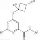 Fig. 220 - SUBSTITUTED 4-ALKOXYPICOLINAMIDE ANALOGS AS MGLUR5 NEGATIVE ALLOSTERIC MODULATORS AND METHODS OF MAKING AND USING THE SAME