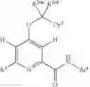 Fig. 24 - SUBSTITUTED 4-ALKOXYPICOLINAMIDE ANALOGS AS MGLUR5 NEGATIVE ALLOSTERIC MODULATORS AND METHODS OF MAKING AND USING THE SAME
