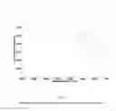 Fig. 06 - Pyridine complex of zirconium, catalytic system comprising said pyridine complex of zirconium and process of (co)polymerization of conjugated dienes
