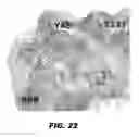 Fig. 35 - Compounds and methods for treating bacterial infections