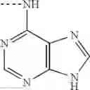Fig. 47 - Tetracyclic anthraquinone derivatives
