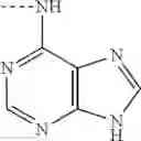 Fig. 48 - Tetracyclic anthraquinone derivatives