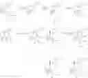 Fig. 12 - ABIETANE-TYPE DITERPENOIDS